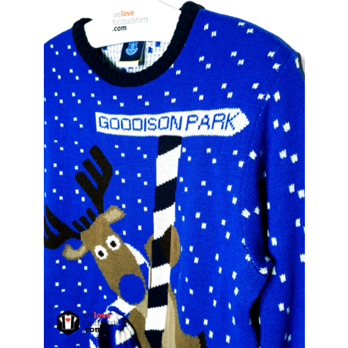 Fanwear Origineel Fanwear Foute Kersttrui Everton