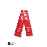 Football Scarf Denmark