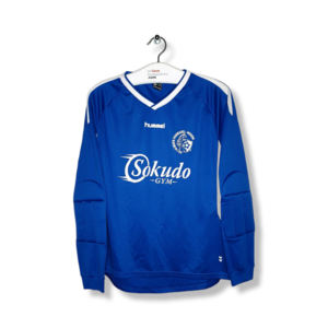 Hummel SV Always Forward (L)