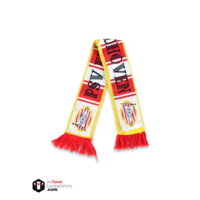 Football Scarf PSV Eindhoven