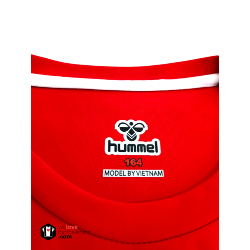 Hummel Origineel Hummel voetbalshirt Denemarken