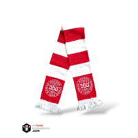 Football Scarf Denmark