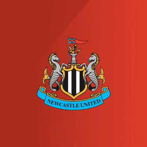 Een groot aanbod voetbalshirts van Newcastle United