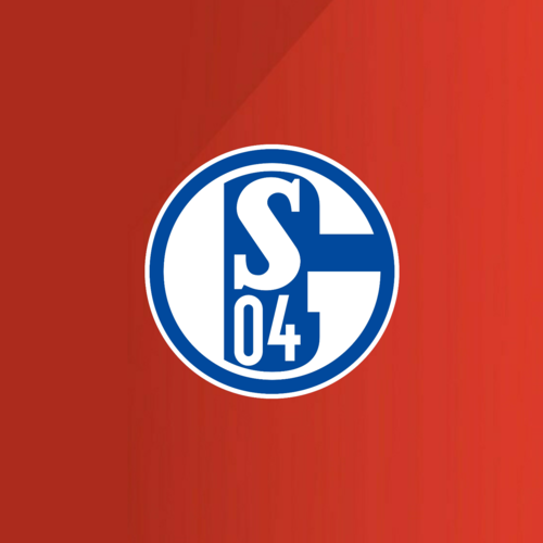 Een groot aanbod voetbalshirts van FC Schalke 04