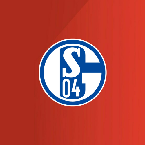 Eine große Auswahl an Fußballtrikots von FC Schalke 04