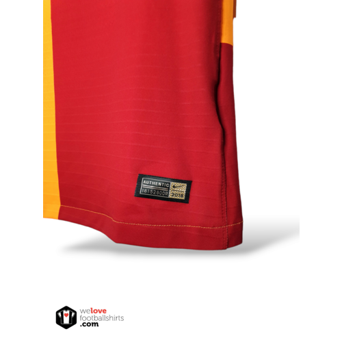 Nike Origineel Nike Vaporknit voetbalshirt Galatasaray 2018/19