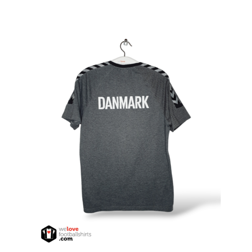 Hummel Origineel Hummel trainingsshirt Denemarken