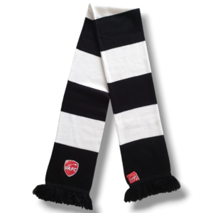 Scarf Fußballschal Valenciennes FC