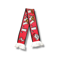 Fußballschal FC Twente