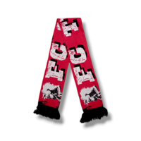 Football Scarf FC Twente