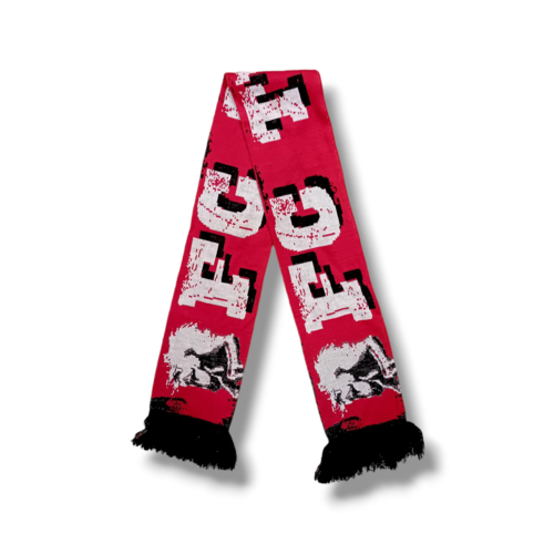 Scarf Originaler Fußballschal FC Twente