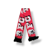 Fußballschal FC Twente