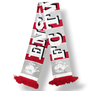 Voetbalsjaal FC Twente