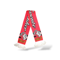 Football Scarf FC Twente