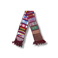 Voetbalsjaal Copa America 2007