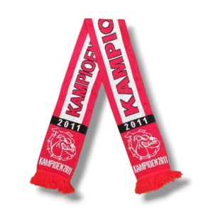 Fußballschal FC Twente