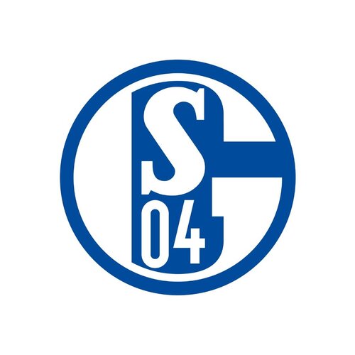 A large selection of football shirts from FC Schalke 04