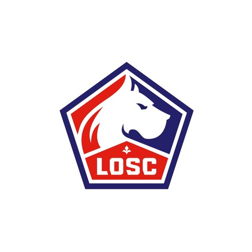 Een groot aanbod voetbalshirts van Lille OSC