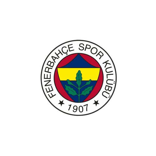 Een groot aanbod voetbalshirts van Fenerbahçe SK