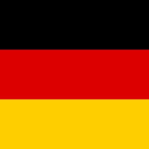 MatchWorn-, Match-Issue- oder Player-Issue-Fußballtrikots der Deutschen Liga
