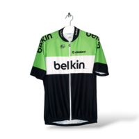 Belkin 2013