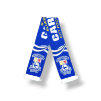 Fußballschal Cardiff City FC