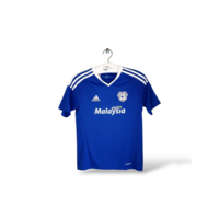Cardiff City F.C.