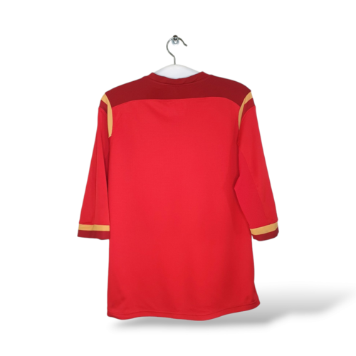 Under Armour Original Under Armour Vintage Rugby-Shirt Wales 2015/16