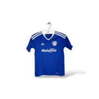 Cardiff City F.C.