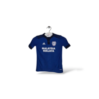 Cardiff City F.C.
