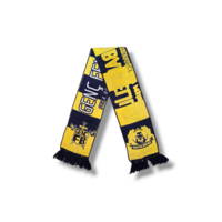 Fußballschal Fenerbahçe SK