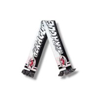 Fußballschal Heracles Almelo