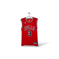 Chicago Bulls