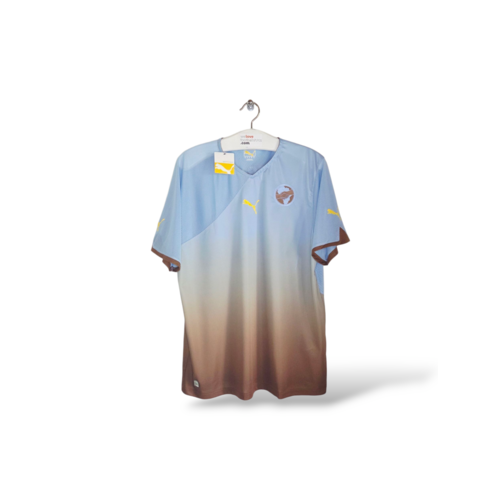 Puma Origineel retro vintage voetbalshirt Africa Unity 2010/11 Puma Origineel retro vintage voetbalshirt Africa Unity 2010/11