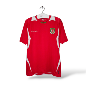 Champion Wales