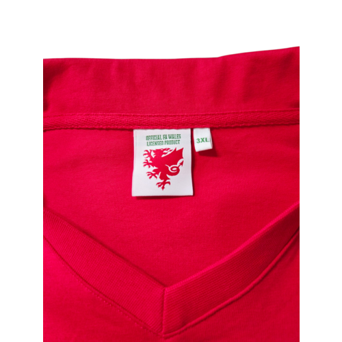 Fanwear Original retro vintage football shirt Wales 1976