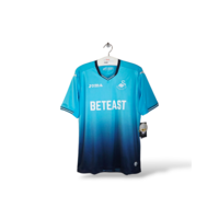 Swansea City