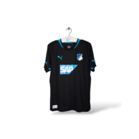 TSG 1899 Hoffenheim (L)