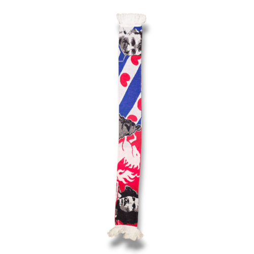 Originaler Fußballschal FC Twente - SC Heerenveen