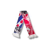 Voetbalsjaal FC Twente - SC Heerenveen