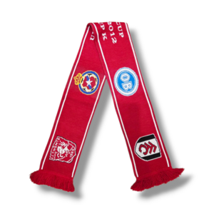 Fußballschal FC Twente UEFA Cup 2011-2012