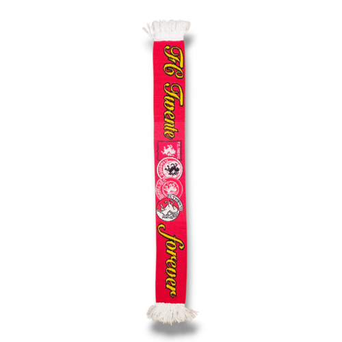 Originaler Fußballschal FC Twente