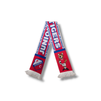 Fußballschal FC Utrecht