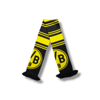Voetbalsjaal Borussia Dortmund