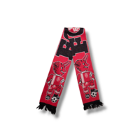 Voetbalsjaal 1. FC Kaiserslautern