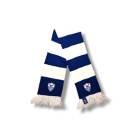 Fußballschal Anorthosis Famagusta FC