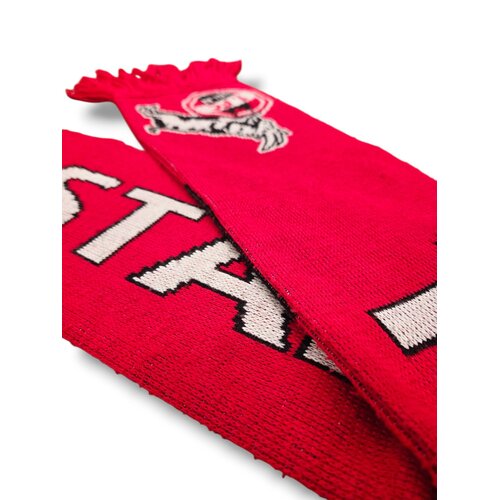 Original Football Scarf 1. FC Köln