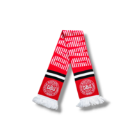 Voetbalsjaal Denemarken