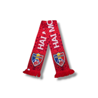 Football Scarf Moldavia