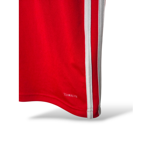 Adidas Original retro vintage football shirt Wales 2017/18 Adidas Original retro vintage football shirt Wales 2017/18